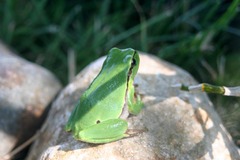 Killikus&reg; Fotographie